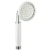 Atlantic Handdouche James Ø5,5 Cm 1 Straalstand