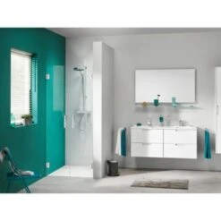 Sealskin Pendeldeur Voor Nis I AM 100x200 Cm RVS