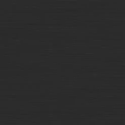 Tiger Tune Wc-borstelhouder Hangend Zwart -Prachtige Badkamerwinkel 123 5881