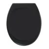 Tiger WC Bril Mason Zwart Kunststof Met Softclose -Prachtige Badkamerwinkel 123 6112