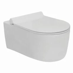 Van Marcke Wandcloset Fleet Met Softclose Wc Bril