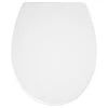 Tiger WC Bril Pasadena Wit Kunststof Met Softclose -Prachtige Badkamerwinkel 123 7293