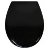 Tiger WC Bril Amadora Zwart Kunststof Met Softclose -Prachtige Badkamerwinkel 123 7483
