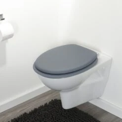 Tiger WC Bril Reno Grijs -Prachtige Badkamerwinkel 123 7572