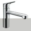 Hansgrohe Keukenkraan Focus M43 Met Hendel RVS 120