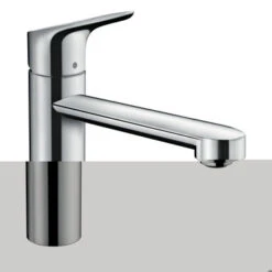 Hansgrohe Keukenkraan Focus M43 Met Hendel RVS 120