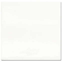 Wandtegel Dokkums Oud Wit 13x13 Cm 0,51 M²