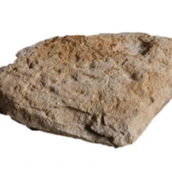 Stone Design Steenstrip Chinon Creme 0,5 M² -Prachtige Badkamerwinkel 123 9150